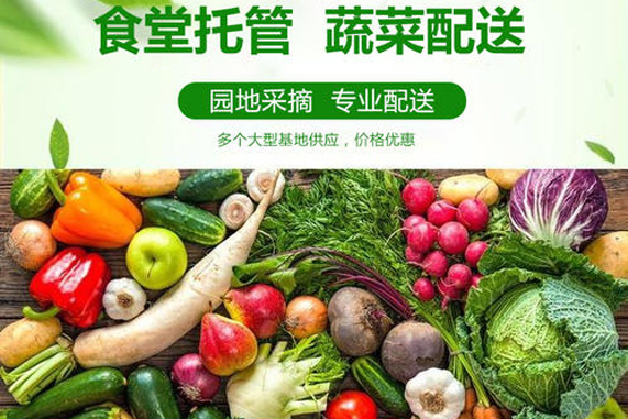 食材配送的痛点，解决方法是什么？